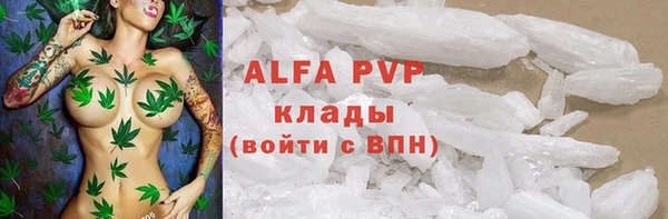 стафф Аркадак