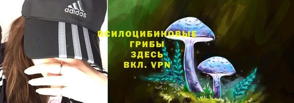 не бодяженный Арсеньев