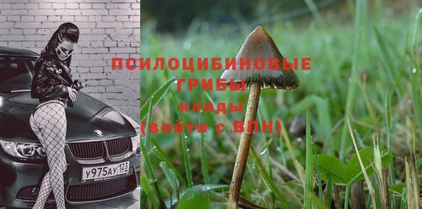 кокаин премиум Алексин