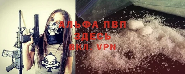 стафф Аркадак